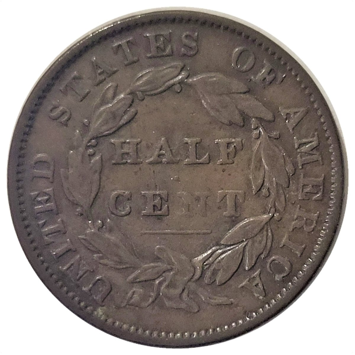 1834-1/2c-Classic-Head-Half-Cent-#5